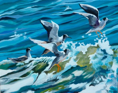 Web Site - 042 - Seagulls over Wave