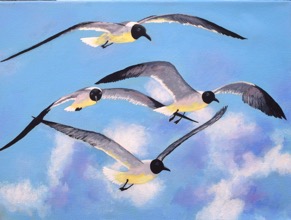 Web Site - 059 - Seagulls in Flight
