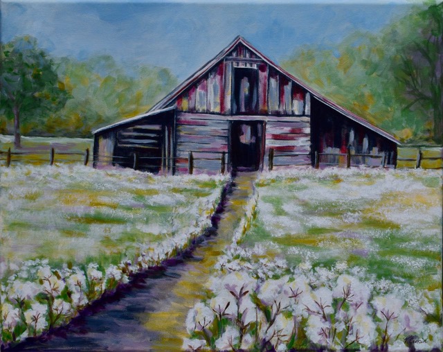 Barn with Cotton <br> 11X14