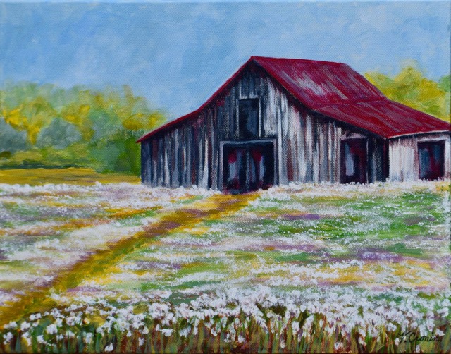 Barn with Cotton <br> 11X14