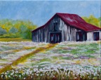 Web Site - 147 - Barn with Cotton.jpeg