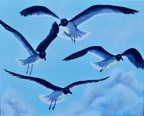 Web Site - 124 - Flying Seagulls.jpg