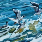 Web Site - 042 - Seagulls over Wave.jpg
